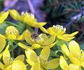 T-20150308-143104_IMG_9136-7_a aa